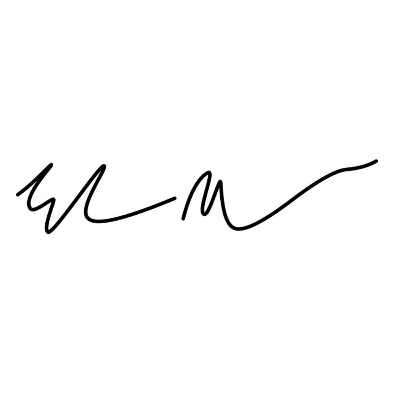 Sticker signature Elon Musk