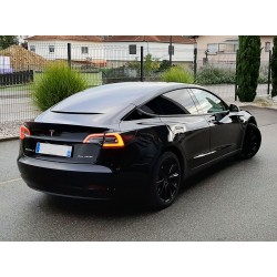 Emblèmes pour Tesla Model S, 3, X, P85D, P100D &amp; Space X