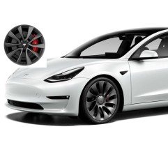 Bombe Peinture Voiture TESLA Model S, 3, X