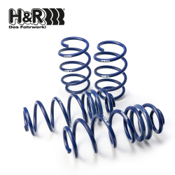 H&R Lowering Springs Kit Front & Rear 28659-1 for Tesla Model 3