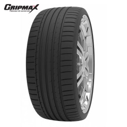 GRIPMAX Suregrip PRO Sport summer tire in 21" for Tesla Model S before 2021