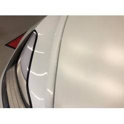 Covering de protection de peinture pour Tesla Model 3, S