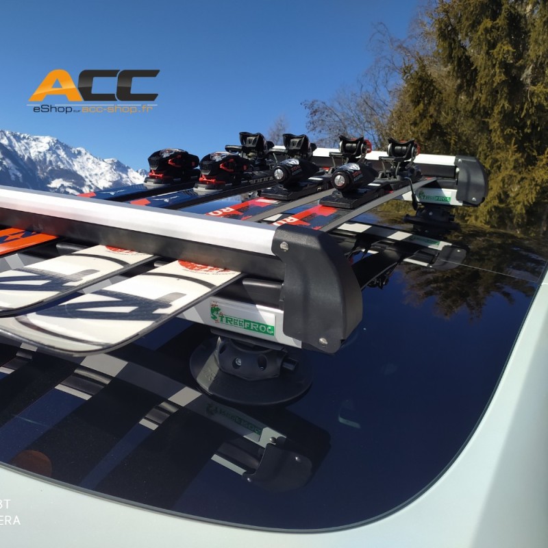 Treefrog ski rack sale